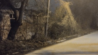The Yellow house (2026)