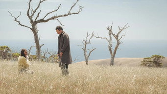 The Run (2025)