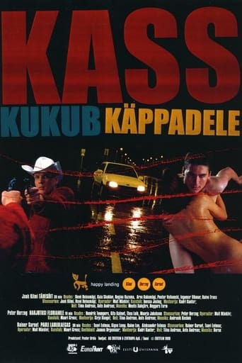 Poster of Kass kukub käppadele