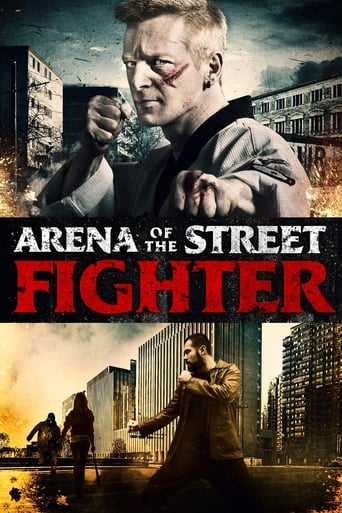 Arena of the Street Fighter image