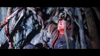 #11 Dark Nature