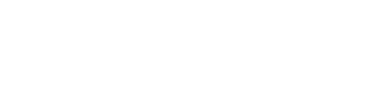 The Winning Try logo