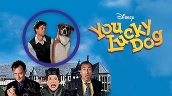 You Lucky Dog (1998)