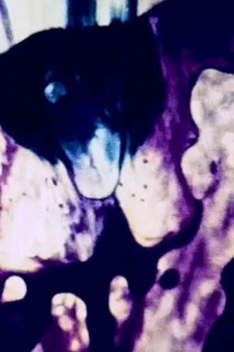 Sin t&iacute;tulo (1971)