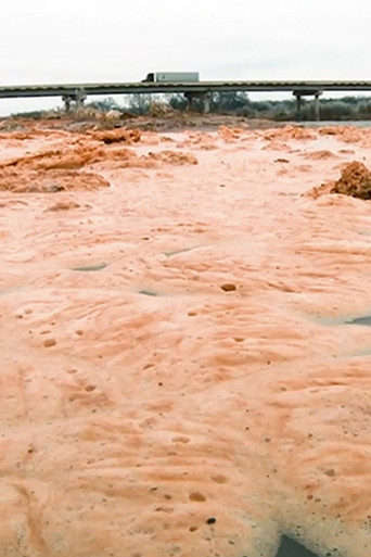 I Am What You Will Be poster