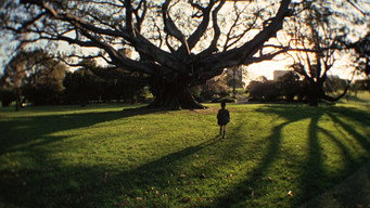 #42 Walkabout