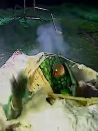 Videozone: The Making of Seedpeople (1992)