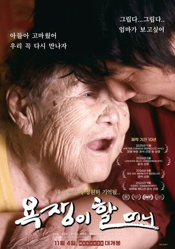 욕쟁이 할머니 海报