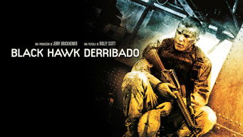 Galeria 4 - Black Hawk derribado