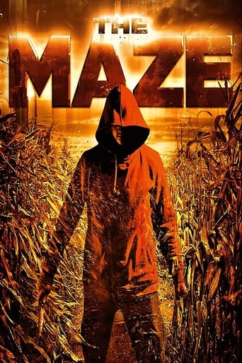 The Maze image