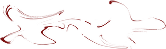 Island logo