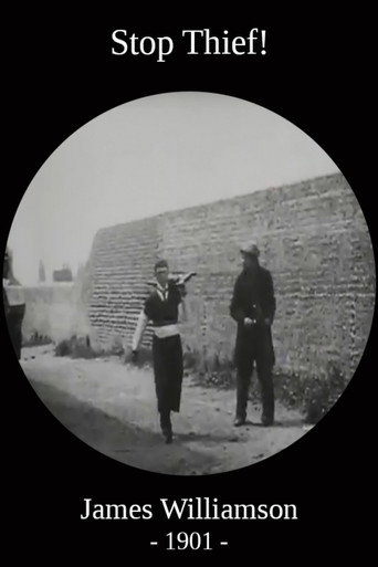 Stop Thief! (1901)