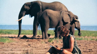 A Life Among Elephants (2024)