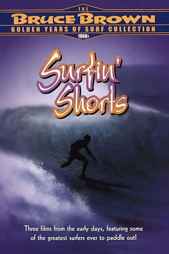 Surfin' Shorts poster 4