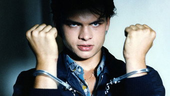 Il y a maldonne (1988)