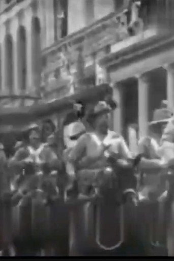 The Australian Mounted Rifle Volunteers