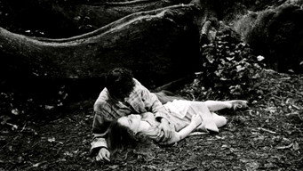 #4 Fragile as the World