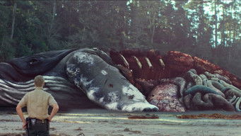 Galeria 5 - Cangrejos asesinos