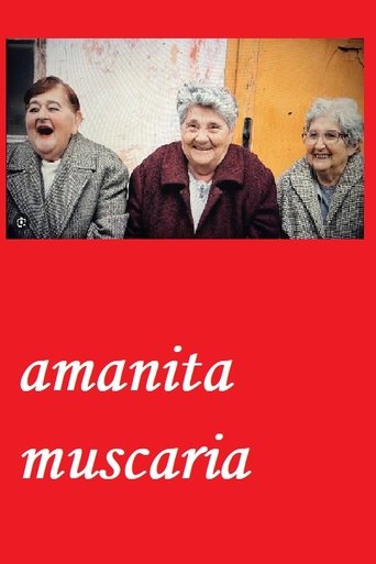 Amanita muscaria poster