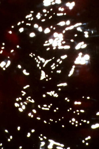 Quartet (In-Camera) galeri 7