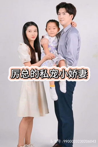 历总的私密小娇妻 poster
