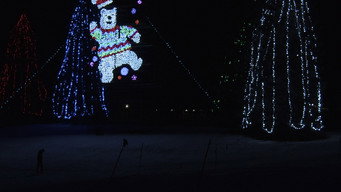 The Elephant's Present