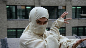 New York Ninja backdrop 4