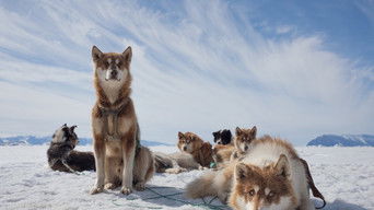 Arctic Circle - S1E01