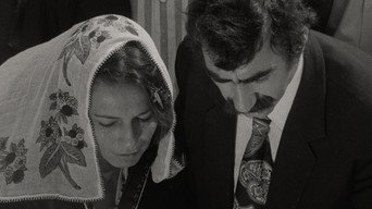 #4 Shirin's Wedding