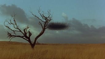 Still 1 from Candyman: Farewell to the Flesh