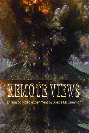 Remote Views (2025)
