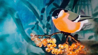The Bullfinch (1983)