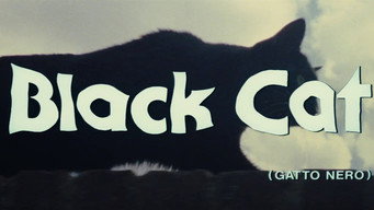 #7 The Black Cat