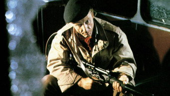 #16 Wild Geese II
