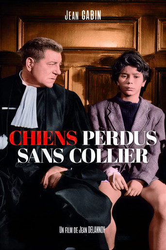 Chiens perdus sans collier — Pôsteres 13