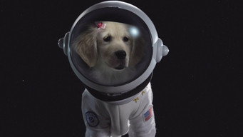 Space Buddies backdrop 8