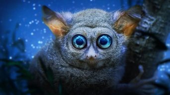 Planeta nocturno: a todo color - S2E01