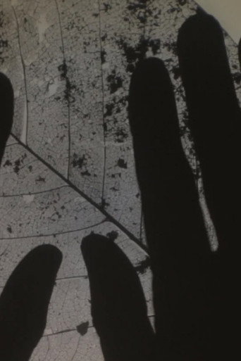 This is How We Dream: Bloom