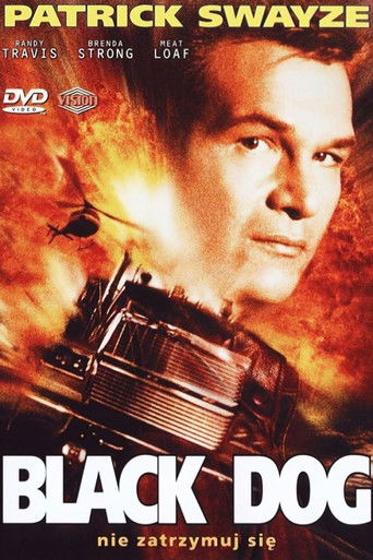 Czarny Pies (1998)