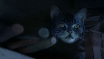 Episode 7 — Episode 7