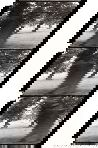 Motion Parallax
