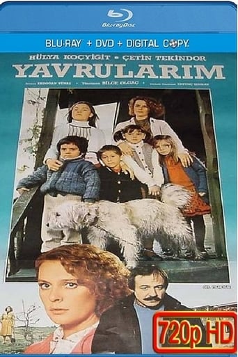 Poster of Yavrularım