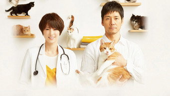 Коти з ковдрами (2017)