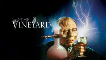 #13 The Vineyard