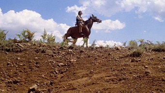 #8 Джанго, стріляй