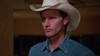 #4 Fool for Love