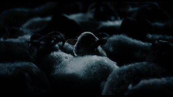 #4 Тремтіння