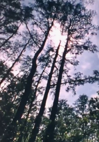 Wilderness: A Country in the Mind (1984)