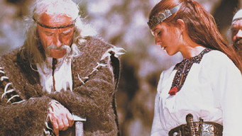 Захар Беркут (1971)