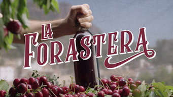 La forastera Temporada 1 Episodio 1
